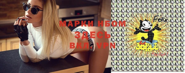 spice Инсар